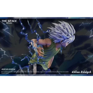 Hunter×Hunter The Space & FAFA ROAD KILLUA ZOLDYCK6